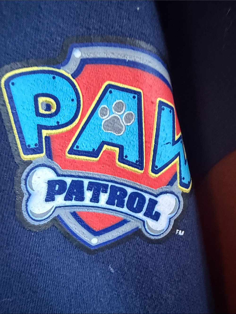 Paw Patrol Brown & Blue Character Zip-Up Hoodie with Ears - Picture 5 of 7